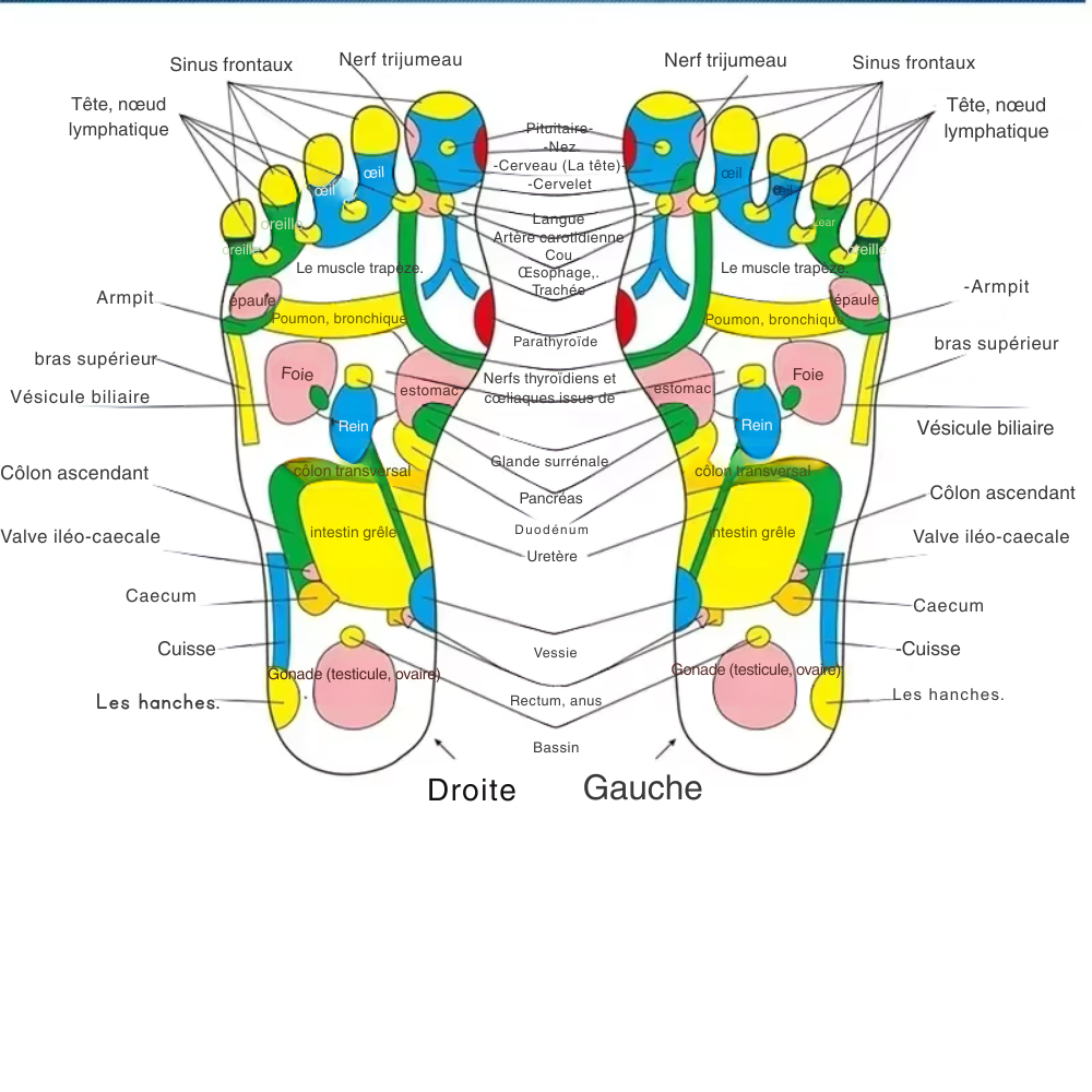 Tapis acupression – Tapis de massage des pieds, réflexologie plantaire, soulagement des douleurs et du stress