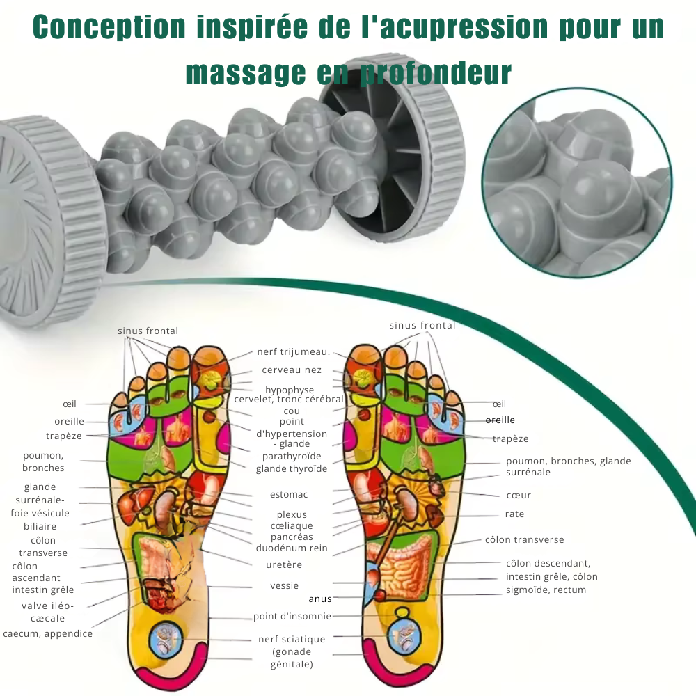 Rouleau masseur pour pied – Massage fascia plantaire, relaxation musculaire et yoga