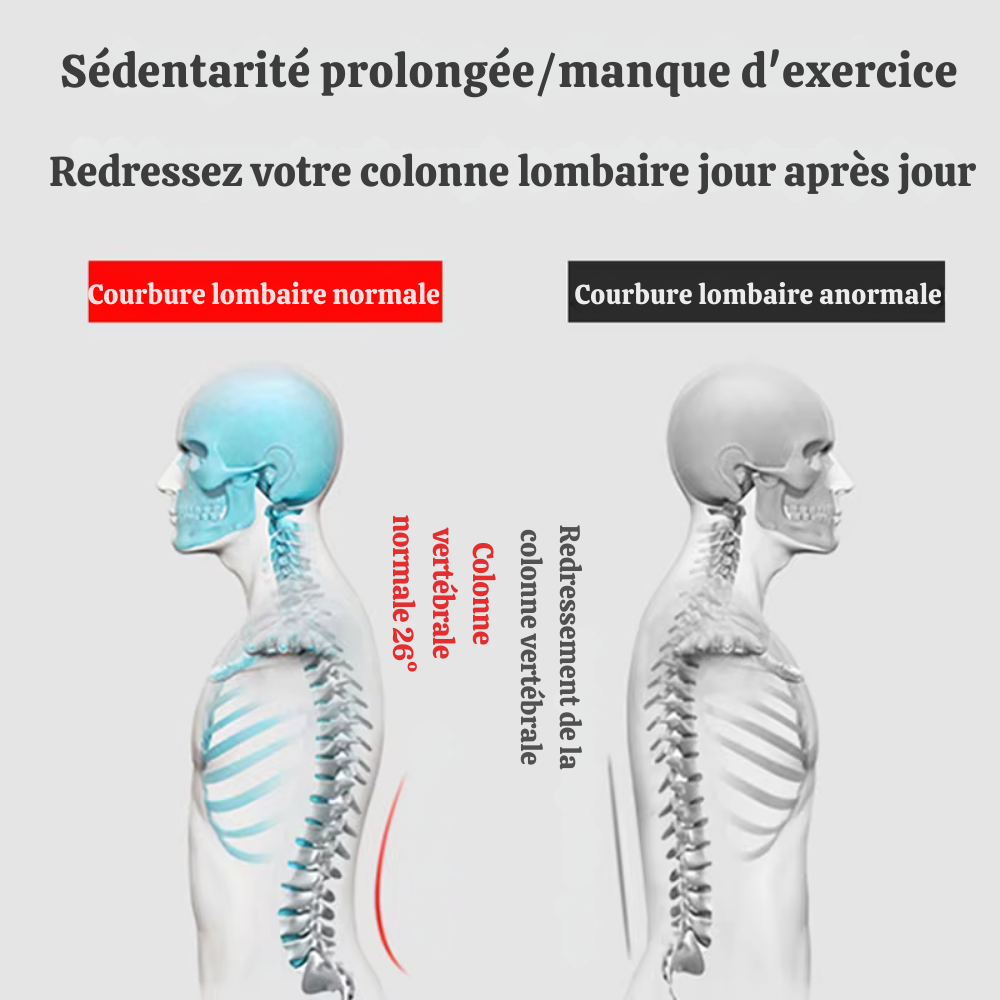 Coussin massant dos – Massage électrique, vibration, chaleur et thérapie lombaire