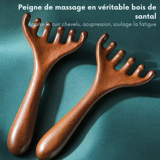 Brosse pour masser cuir chevelu en bois – Peigne de massage méridien antistatique à six griffes