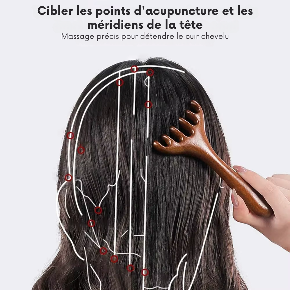Brosse pour masser cuir chevelu en bois – Peigne de massage méridien antistatique à six griffes