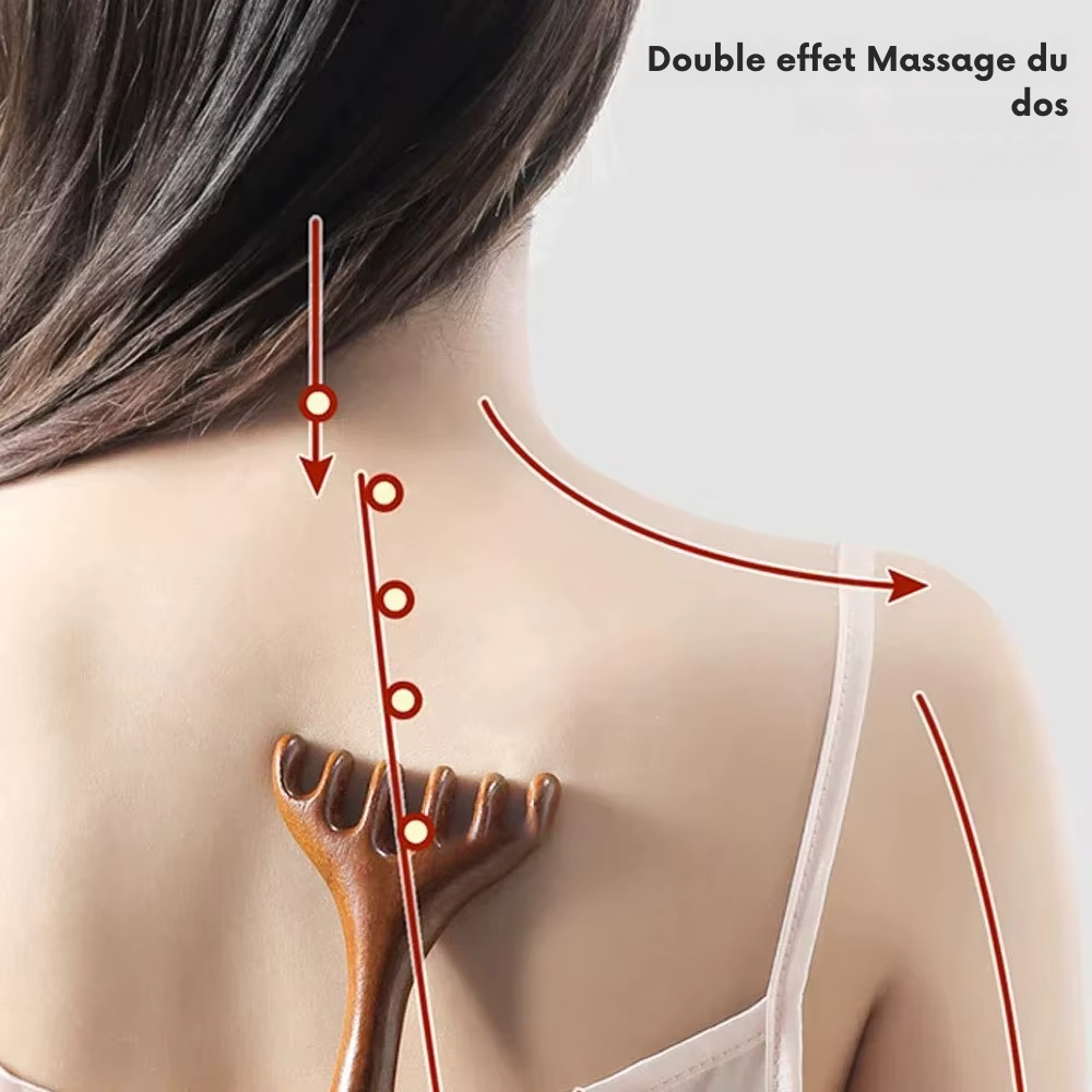 Brosse pour masser cuir chevelu en bois – Peigne de massage méridien antistatique à six griffes