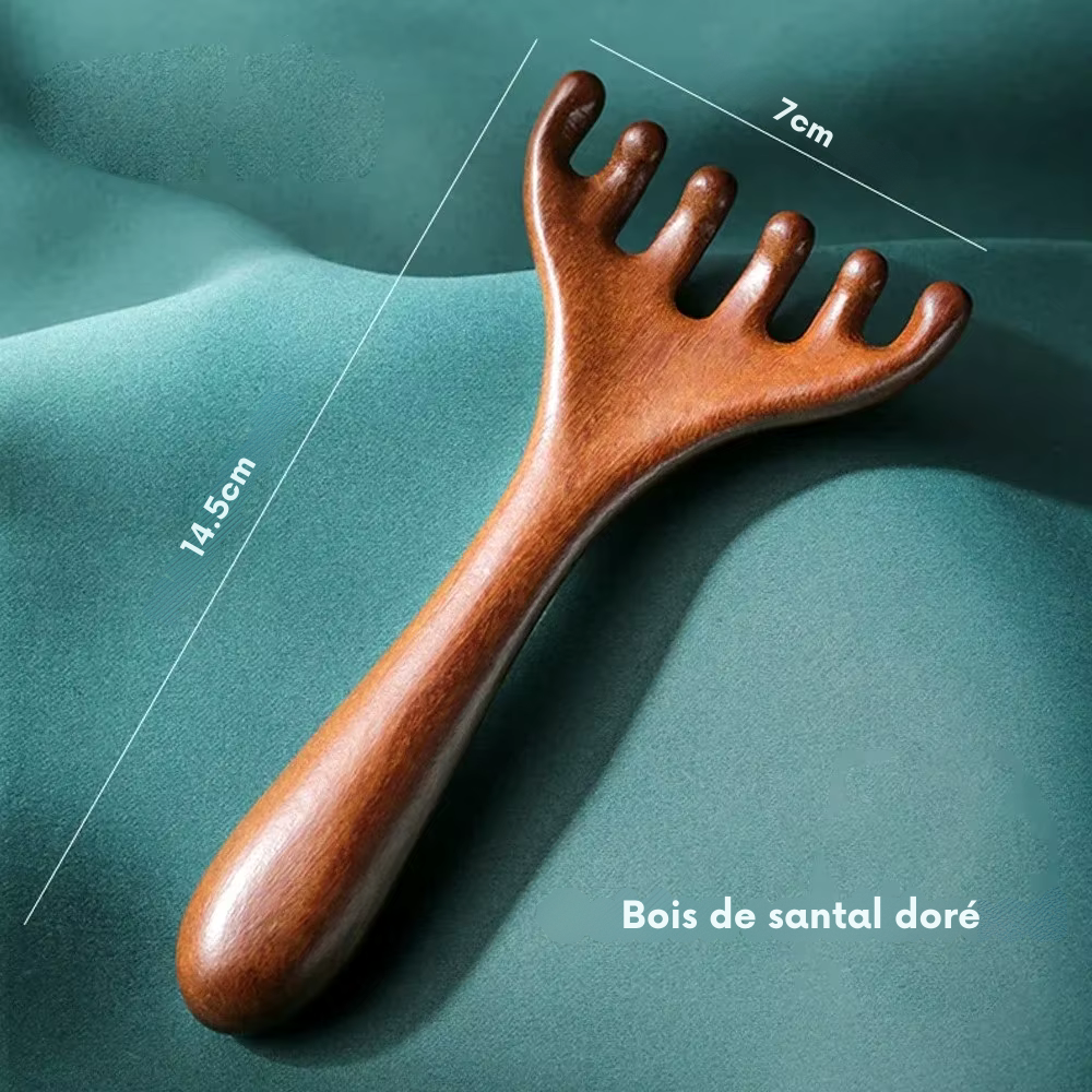Brosse pour masser cuir chevelu en bois – Peigne de massage méridien antistatique à six griffes